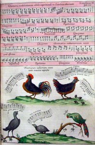 Kircher birds - Musurgia Universalis